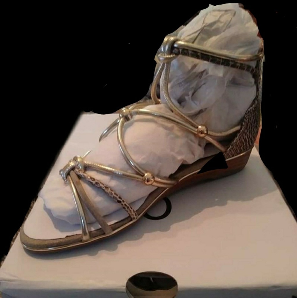 Neutral/Gold/python ALDO sandals